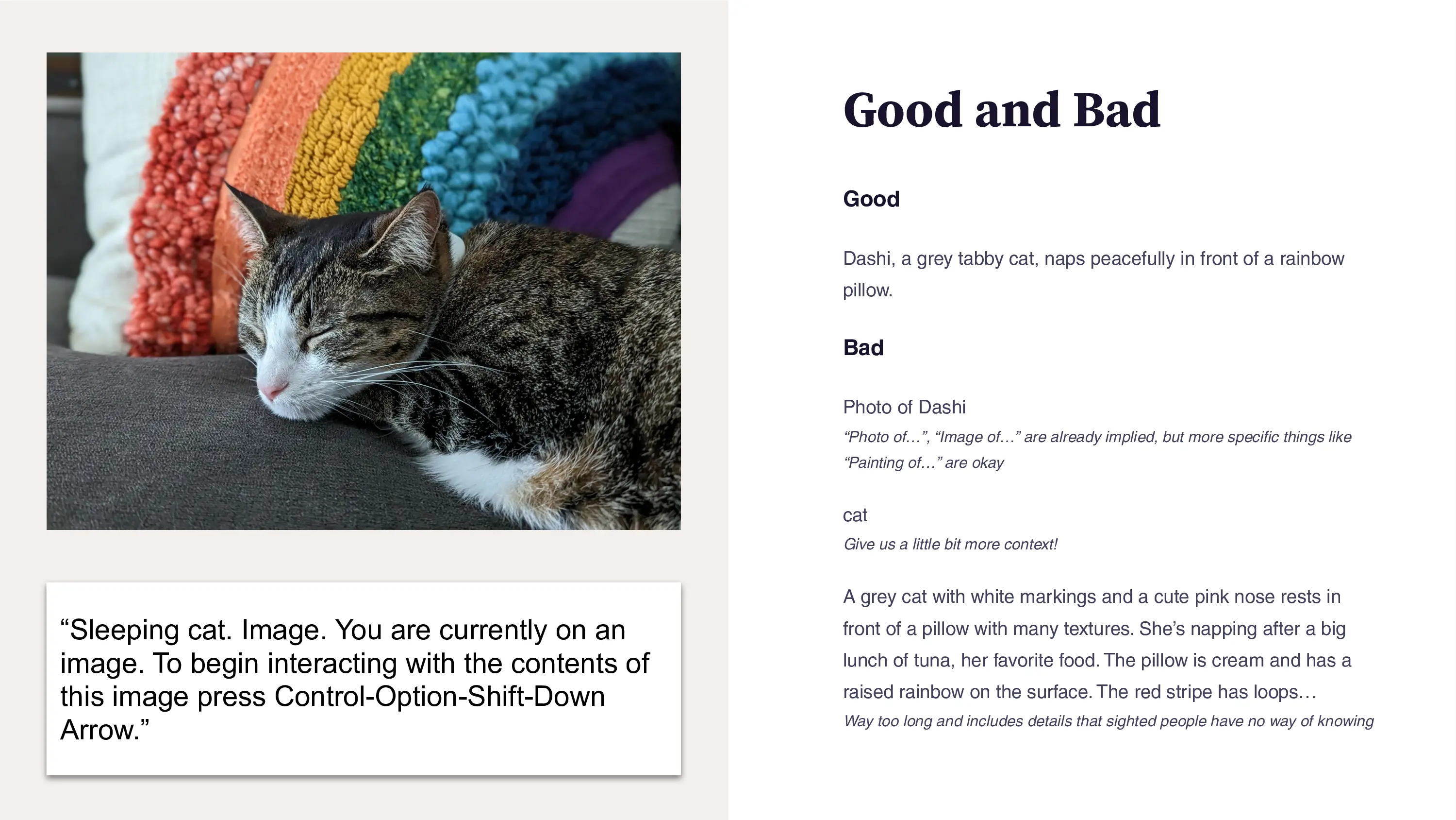 A side-by-side example of alt text quality. On the left is a close-up photograph of Dashi, a grey tabby cat with white markings, sleeping peacefully in front of a rainbow pillow. On the right, a section titled 'Good and Bad' lists examples, with the Bad text being: 'photo of Dashi' and another example with a much longer description that has extraneous details and things that a sighted user would not be able to glean from the image, such as Dashi being tired because she ate her favorite food.