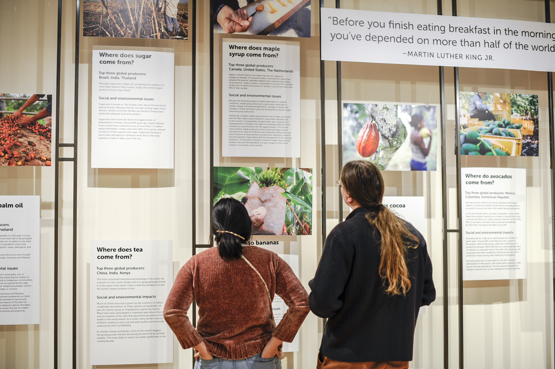 Visitors at the museum stand in front of a display with many typographic signs.